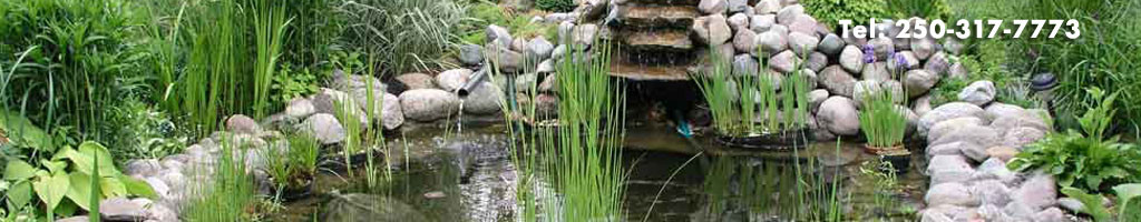 Ponds and Waterfalls construction